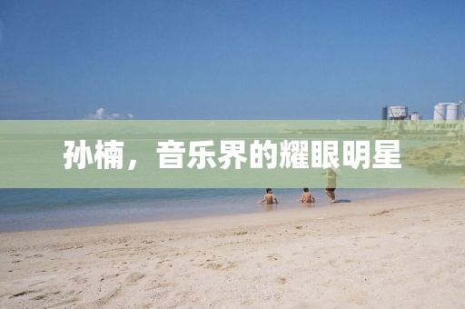 孙楠，音乐界的耀眼明星