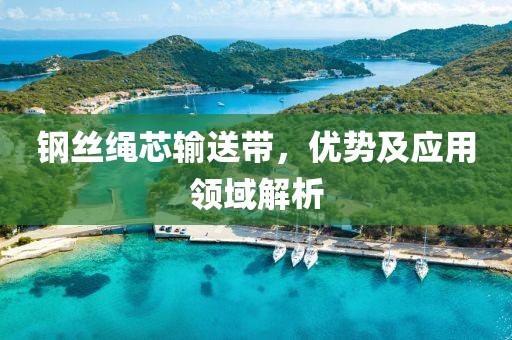 钢丝绳芯输送带