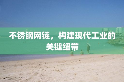 不锈钢网链，构建现代工业的关键纽带