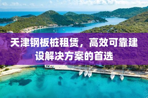 天津钢板桩租赁