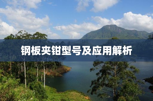 钢板夹钳型号