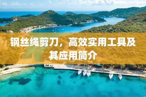 钢丝绳剪刀，高效实用工具及其应用简介