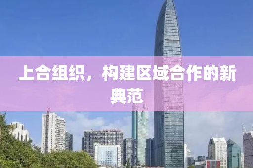 上合组织，构建区域合作的新典范