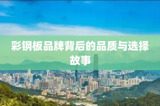 彩钢板品牌背后的品质与选择故事