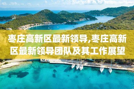 枣庄高新区最新领导,枣庄高新区最新领导团队及其工作展望