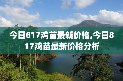 暴走的兔子 第62页