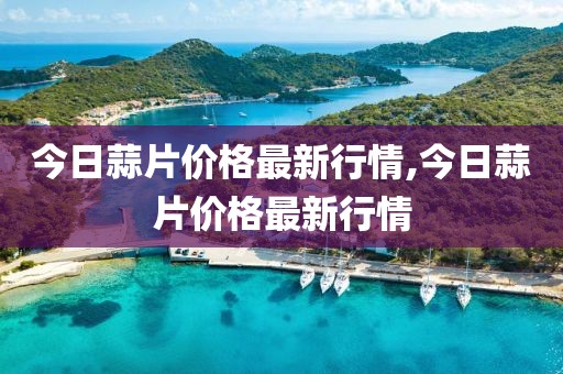 今日蒜片价格最新行情,今日蒜片价格最新行情