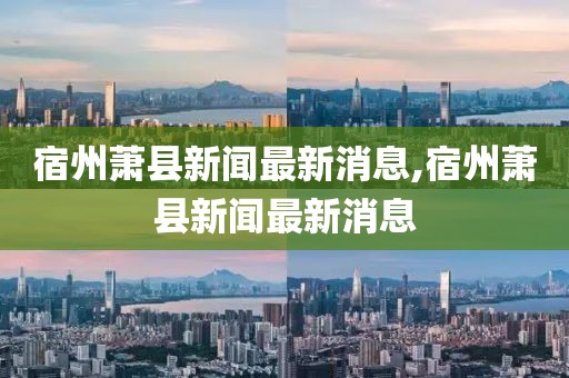 宿州萧县新闻最新消息,宿州萧县新闻最新消息
