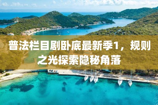 普法栏目剧卧底最新季1，规则之光探索隐秘角落