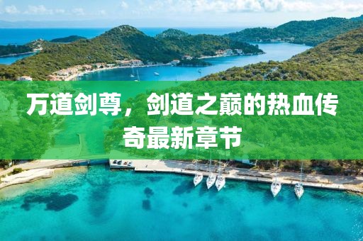 万道剑尊，剑道之巅的热血传奇最新章节