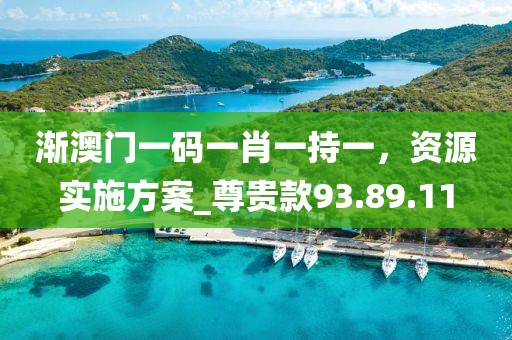 渐澳门一码一肖一持一，资源实施方案_尊贵款93.89.11