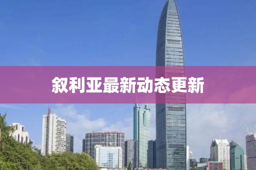 叙利亚最新动态更新