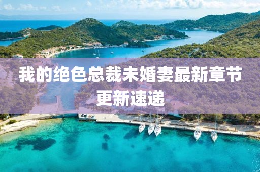 我的绝色总裁未婚妻最新章节更新速递
