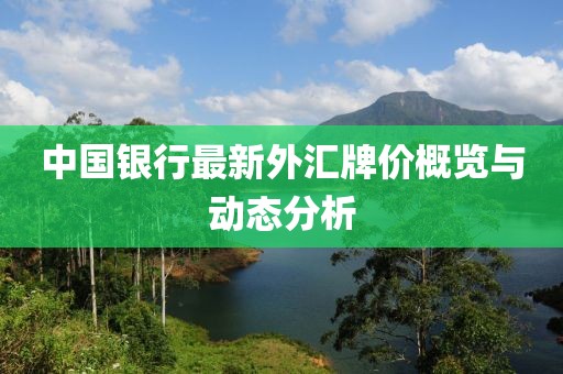中国银行最新外汇牌价概览与动态分析