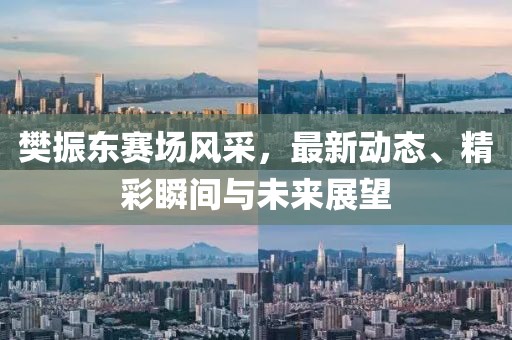 樊振东赛场风采，最新动态、精彩瞬间与未来展望