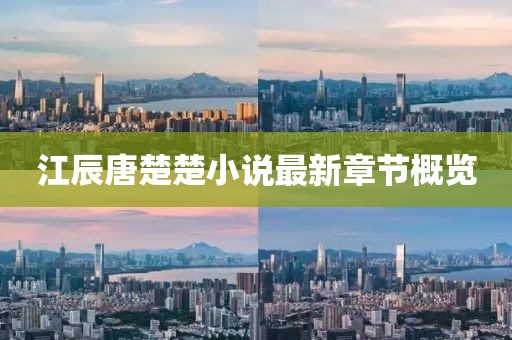 江辰唐楚楚小说最新章节概览