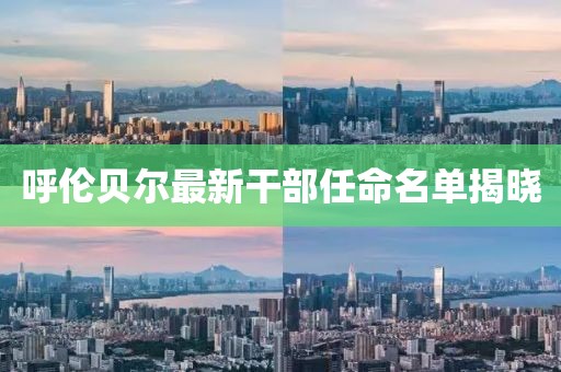 呼伦贝尔最新干部任命名单揭晓