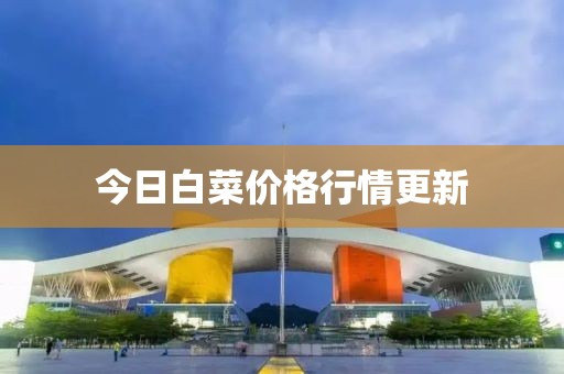今日白菜价格行情更新