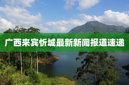 广西来宾忻城最新新闻报道速递