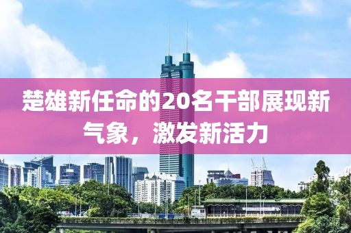 楚雄新任命的20名干部展现新气象，激发新活力