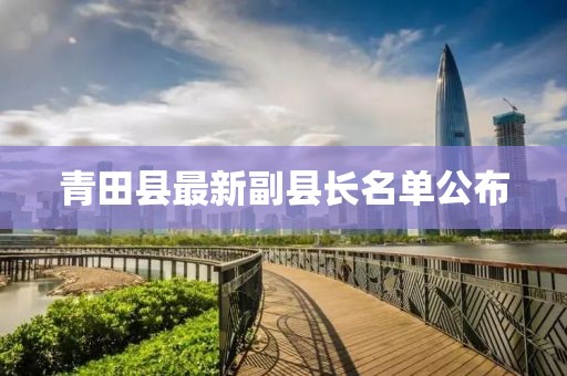 青田县最新副县长名单公布