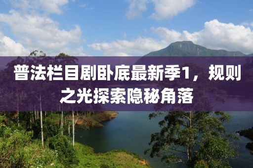 普法栏目剧卧底最新季1，规则之光探索隐秘角落