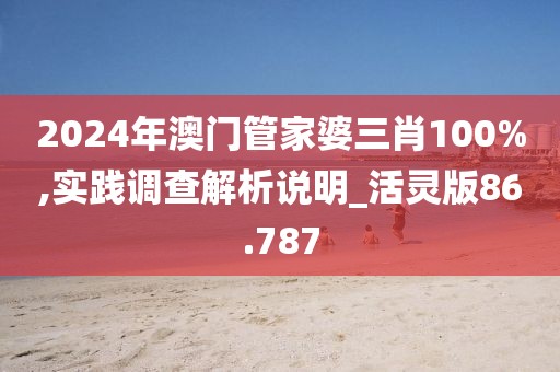 2024年澳门管家婆三肖100%,实践调查解析说明_活灵版86.787