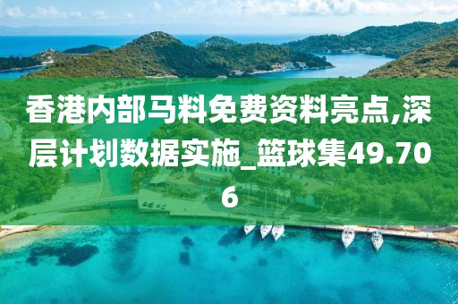 香港内部马料免费资料亮点,深层计划数据实施_篮球集49.706