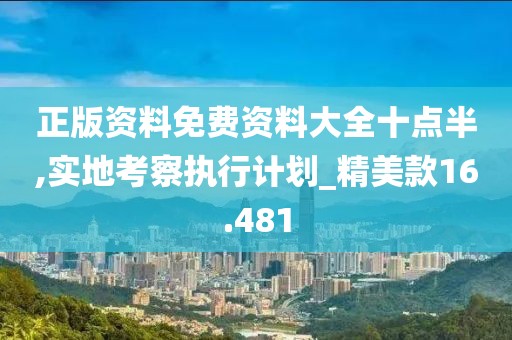 正版资料免费资料大全十点半,实地考察执行计划_精美款16.481
