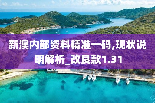 新澳内部资料精准一码,现状说明解析_改良款1.31