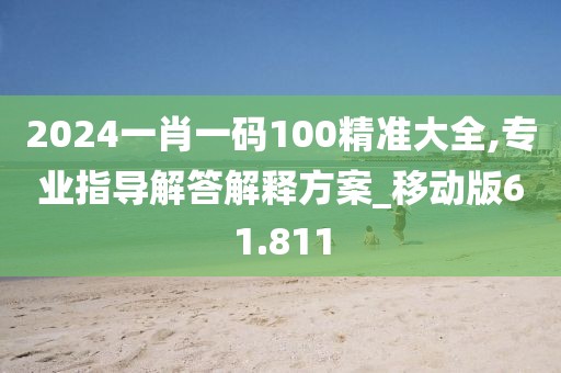2024一肖一码100精准大全,专业指导解答解释方案_移动版61.811