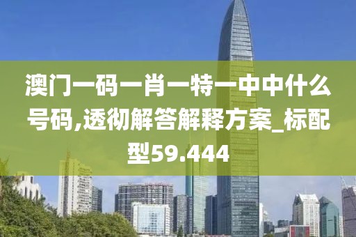 澳门一码一肖一特一中中什么号码,透彻解答解释方案_标配型59.444
