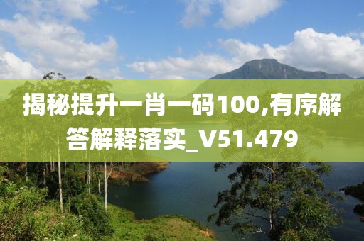 揭秘提升一肖一码100,有序解答解释落实_V51.479