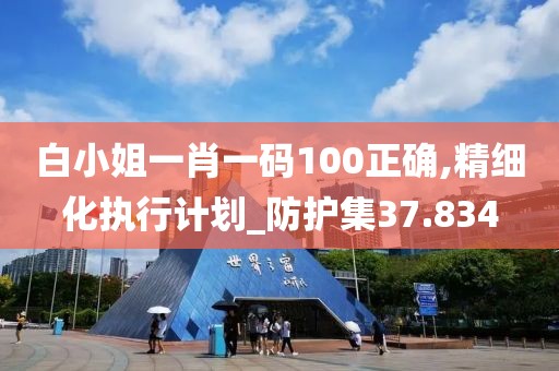 白小姐一肖一码100正确,精细化执行计划_防护集37.834