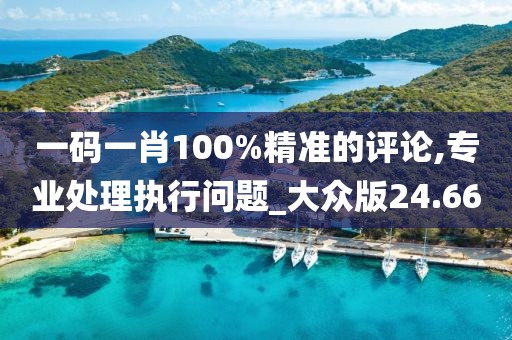 一码一肖100%精准的评论,专业处理执行问题_大众版24.66