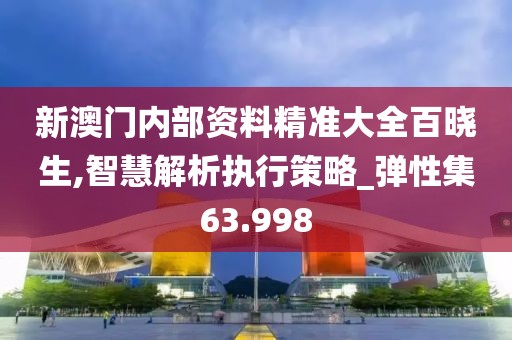 新澳门内部资料精准大全百晓生,智慧解析执行策略_弹性集63.998