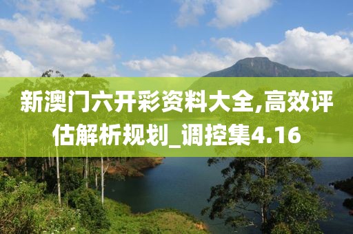 新澳门六开彩资料大全,高效评估解析规划_调控集4.16