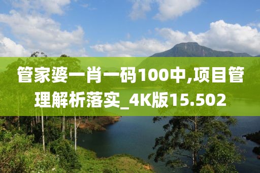 管家婆一肖一码100中,项目管理解析落实_4K版15.502