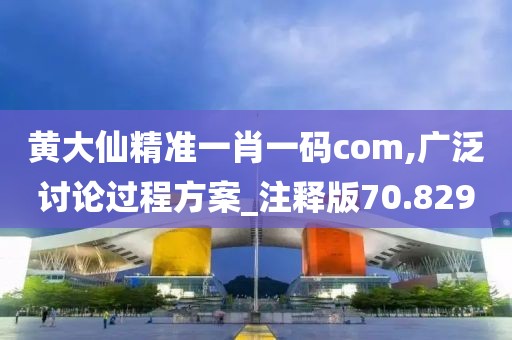 黄大仙精准一肖一码com,广泛讨论过程方案_注释版70.829