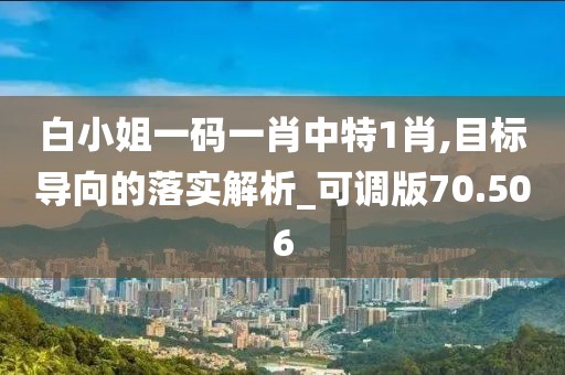 白小姐一码一肖中特1肖,目标导向的落实解析_可调版70.506