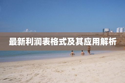 最新利润表格式及其应用解析
