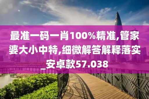 最准一码一肖100%精准,管家婆大小中特,细微解答解释落实_安卓款57.038