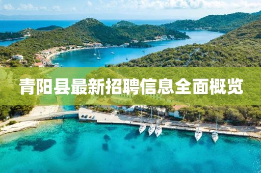 青阳县最新招聘信息全面概览