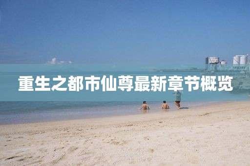 重生之都市仙尊最新章节概览