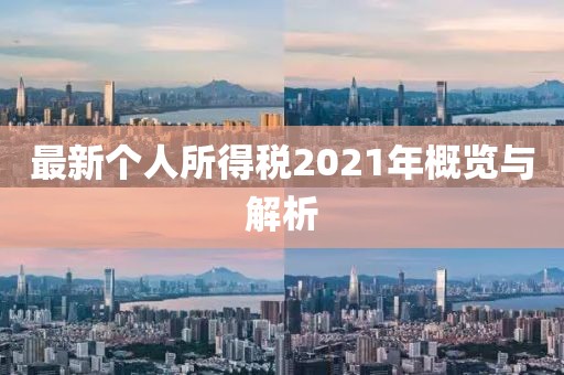 最新个人所得税2021年概览与解析