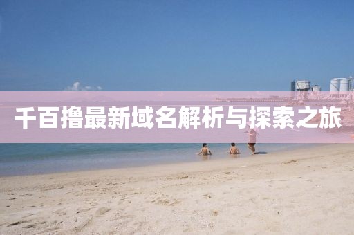 千百撸最新域名解析与探索之旅