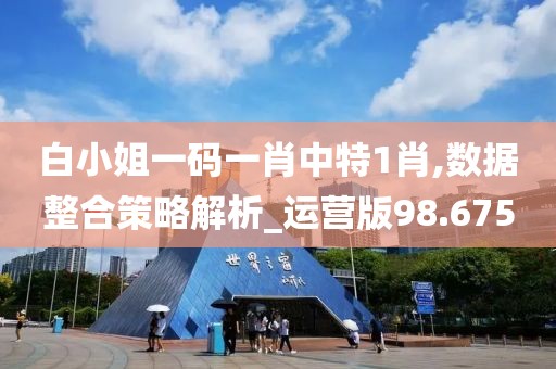 白小姐一码一肖中特1肖,数据整合策略解析_运营版98.675