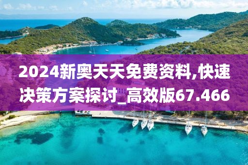 2024新奥天天免费资料,快速决策方案探讨_高效版67.466