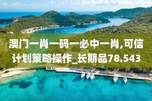澳门一肖一码一必中一肖,可信计划策略操作_长期品78.543