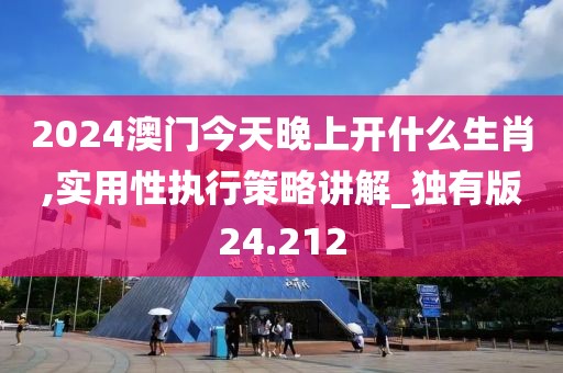 2024澳门今天晚上开什么生肖,实用性执行策略讲解_独有版24.212